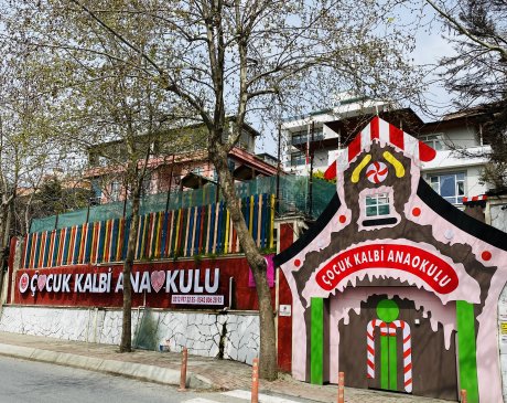 Çocuk Kalbi Genel Bakış